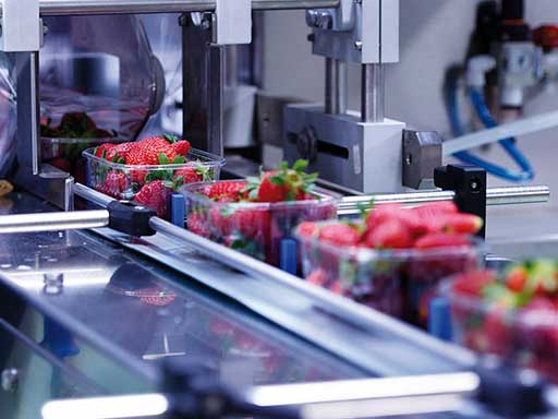 Worm Gearbox in material-handling